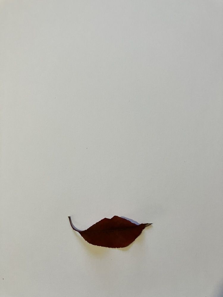 Photograph by Гена Узунова-Иванова