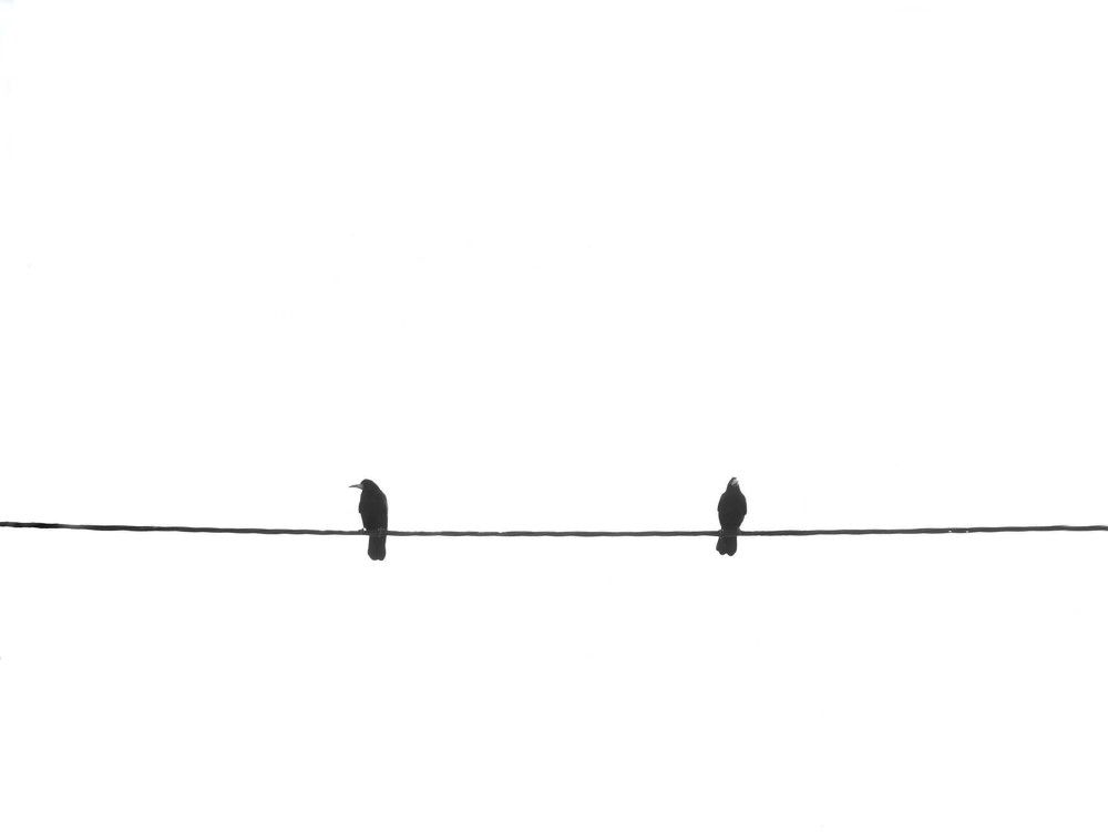 Photograph by Ava Nasiri