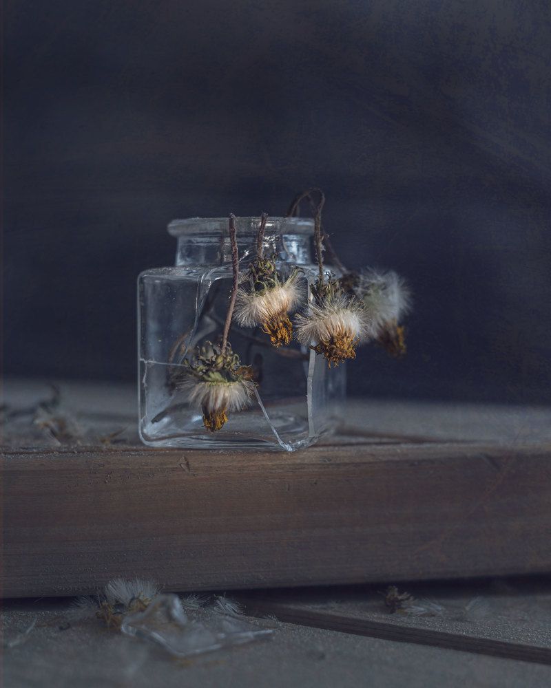 Photograph by  Анастасия Тимарг