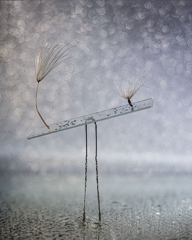 Photograph by  Анастасия Тимарг