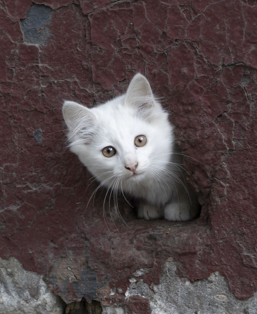 Photograph by Герман Корнеев