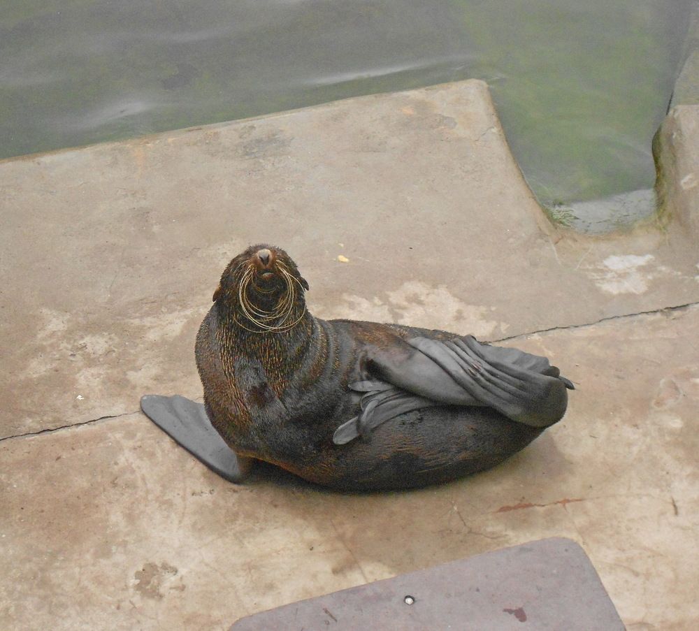 Photograph by Елена Казарина