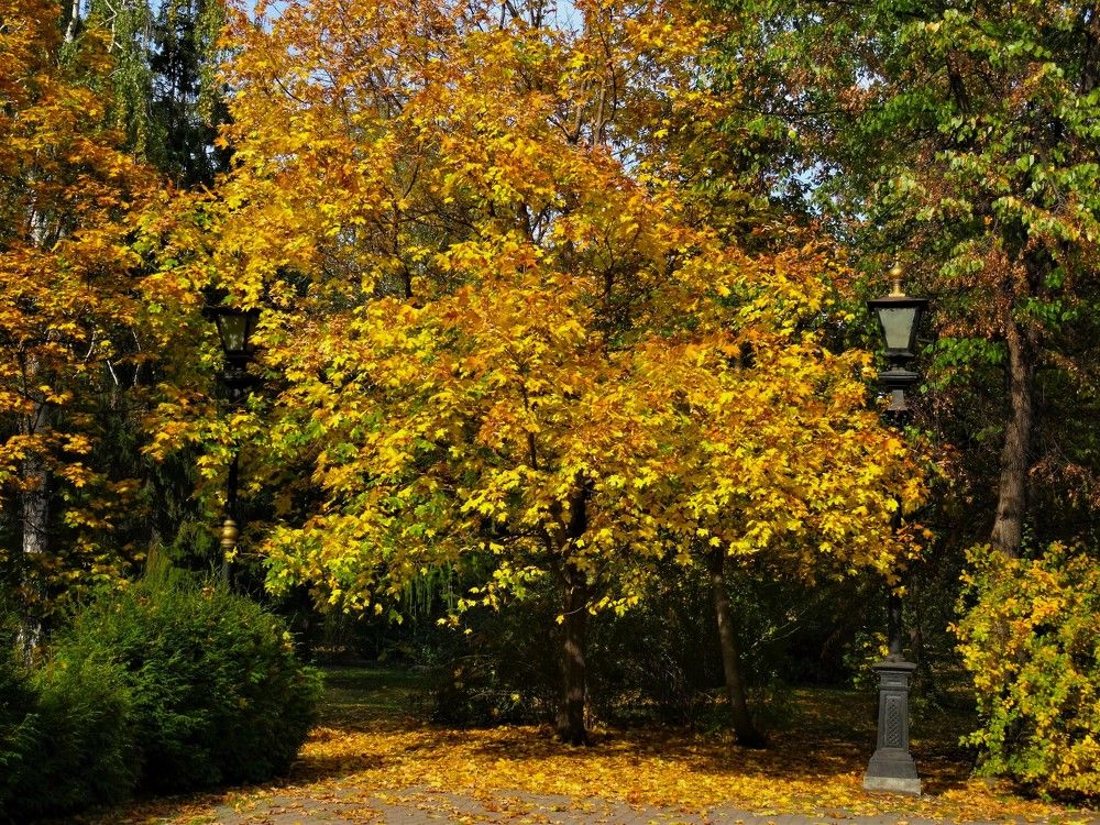 Photograph by Марина Раткун