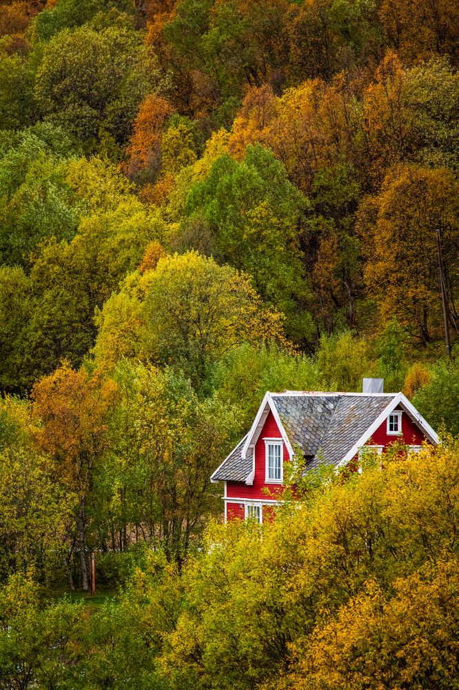 Фотография автора Katrin Lillenthal