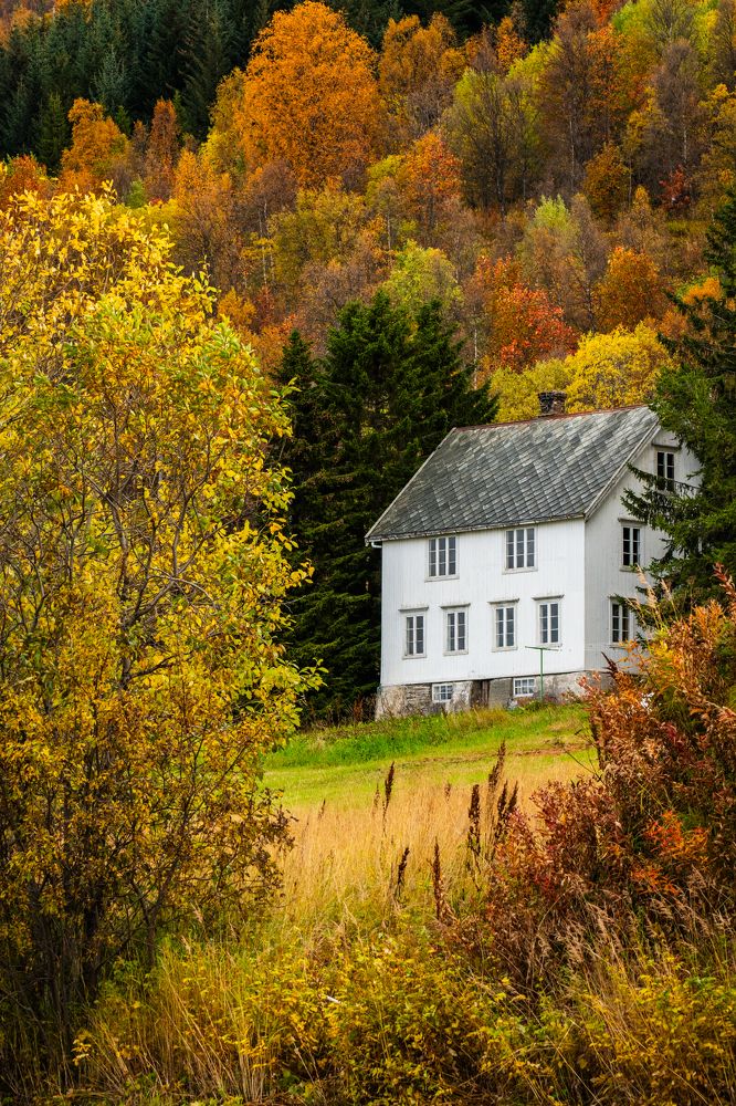 Фотография автора Katrin Lillenthal