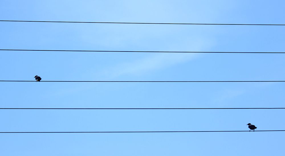 Photograph by дмитрий