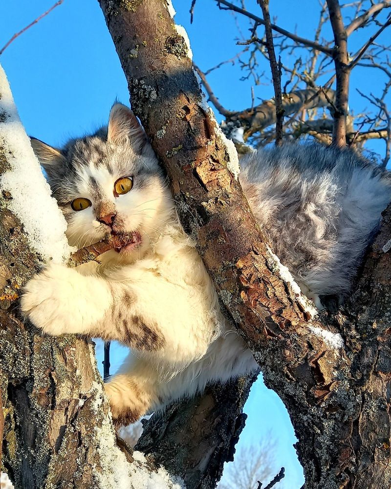 Photograph by Марина Козлова