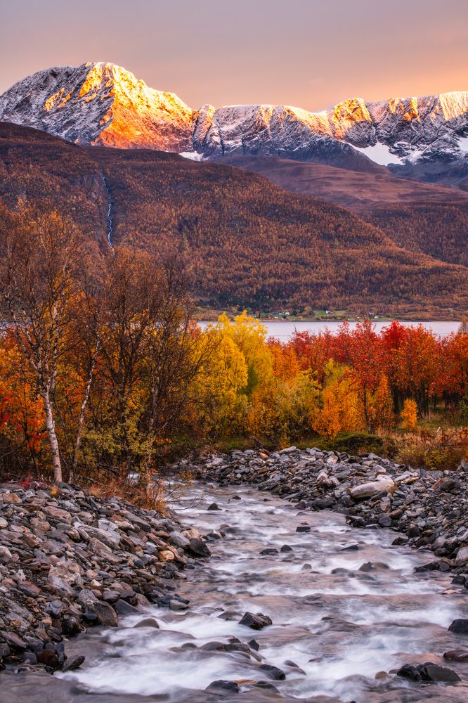 Фотография автора Katrin Lillenthal