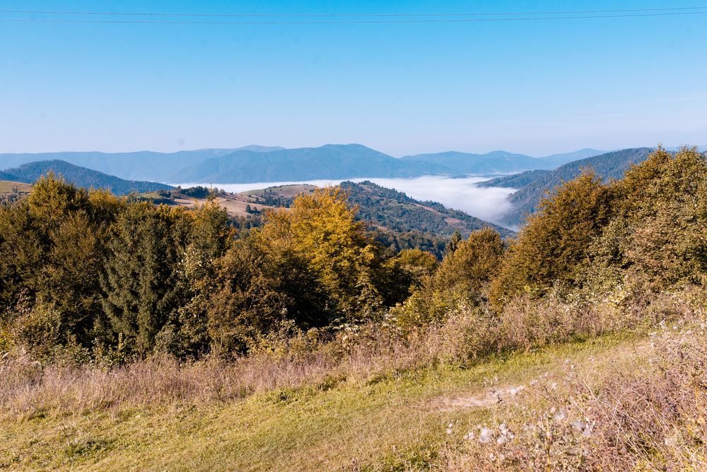 Photograph by Анастасия Гуцалова