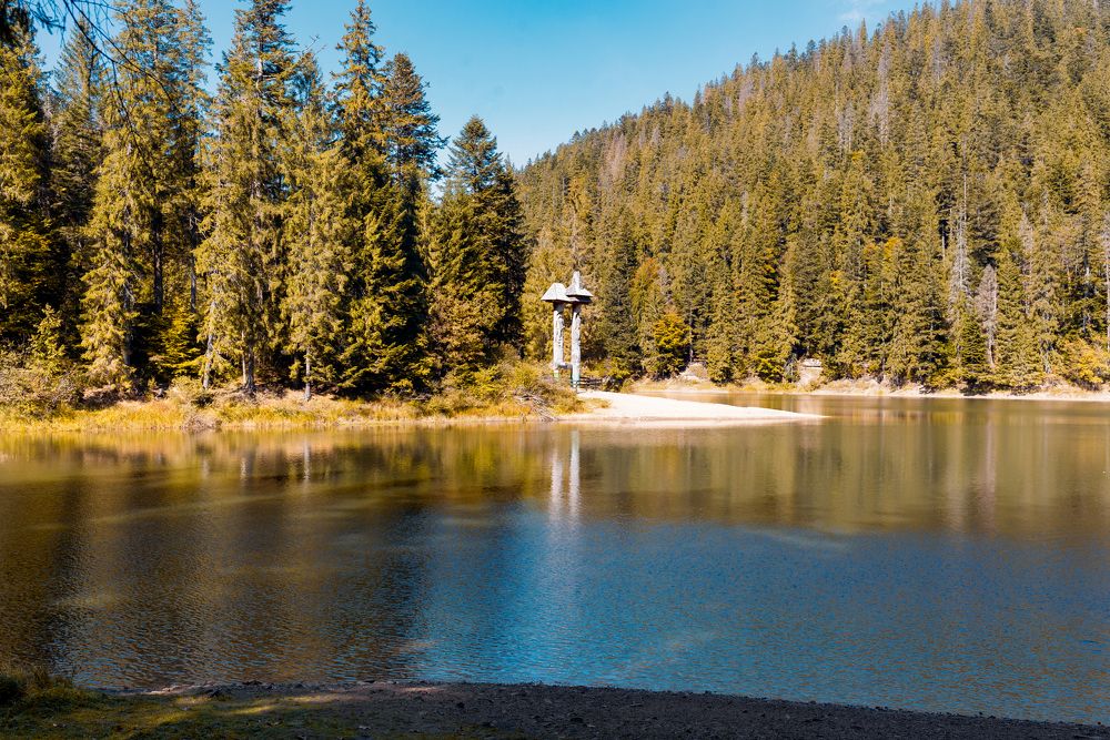 Photograph by Анастасия Гуцалова