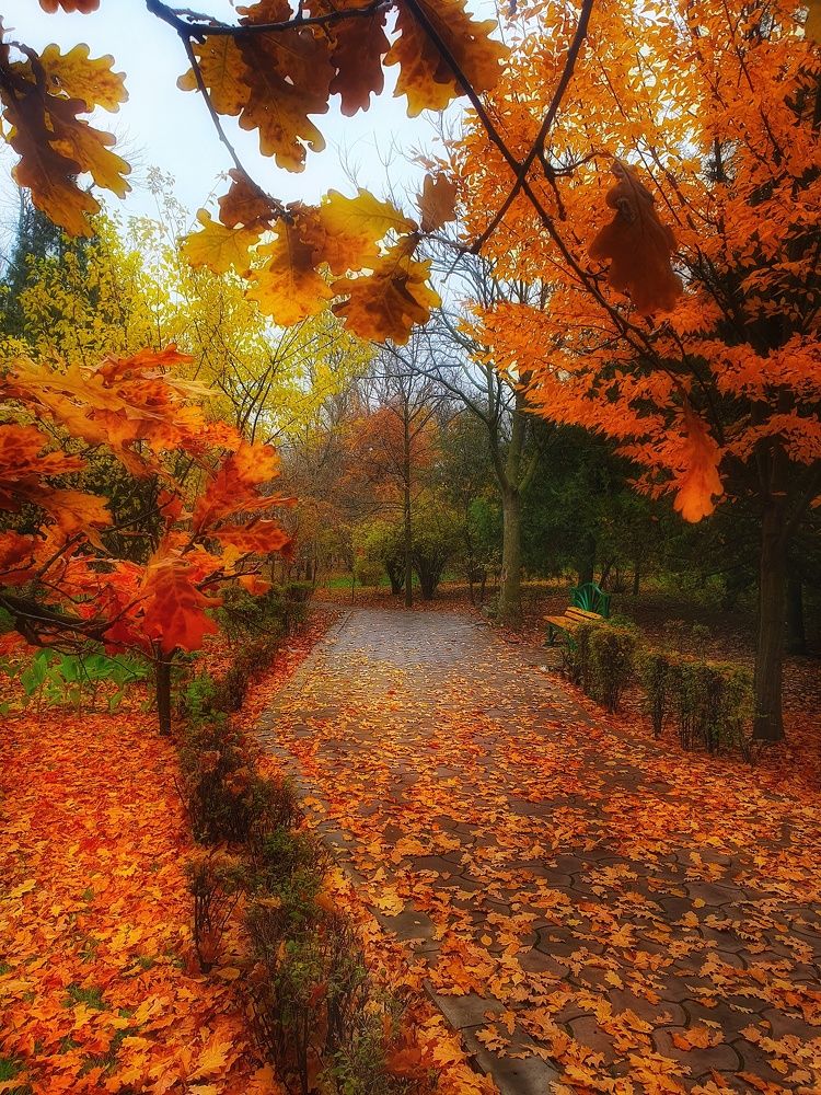 Краски октября