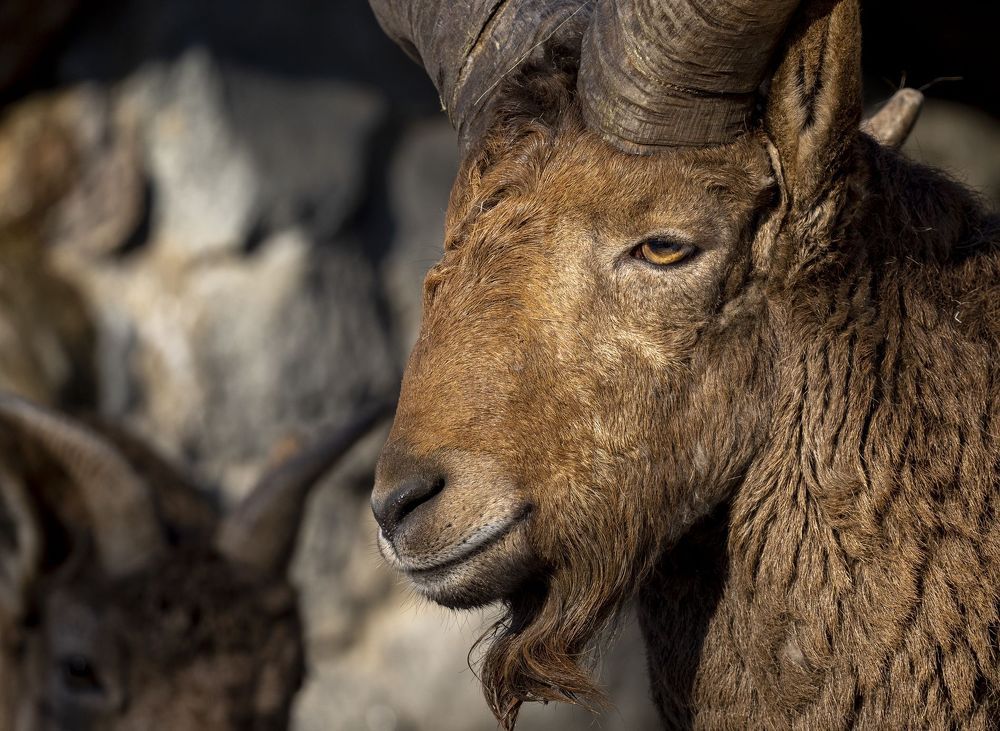 Photograph by Сергей Пупонин