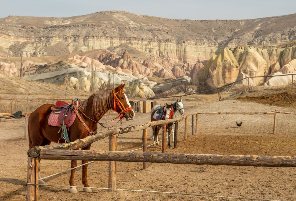 Photograph by Сергей Пупонин