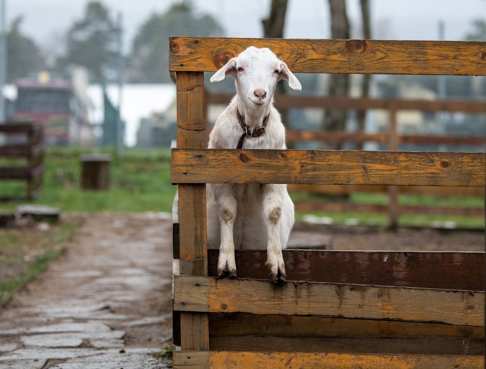 Photograph by Сергей Пупонин