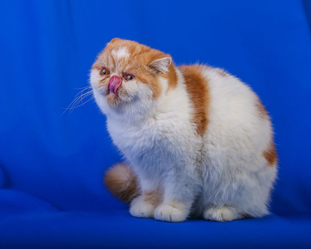 Photograph by Алексей Трифонов