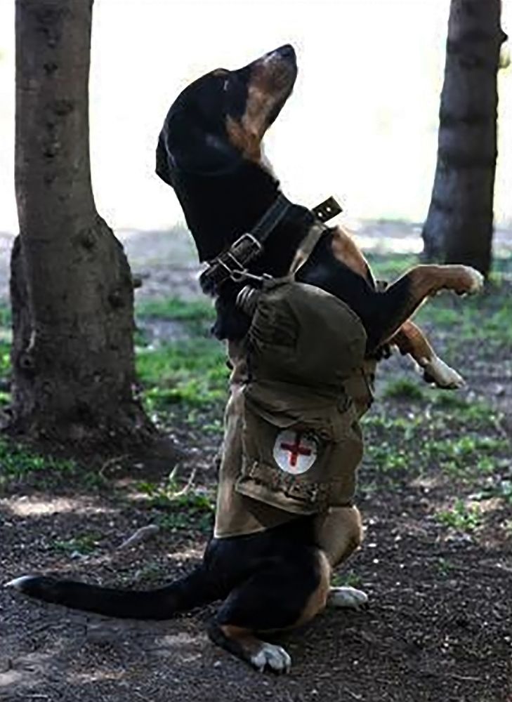 Photograph by Алексей Патлах