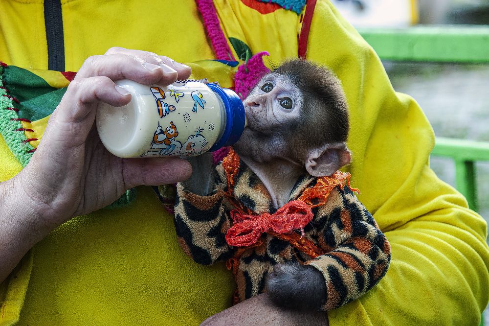 Photograph by Алексей Патлах