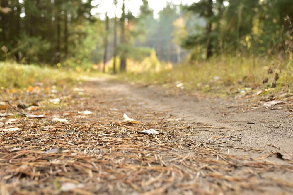 Photograph by Элеонора Безженова