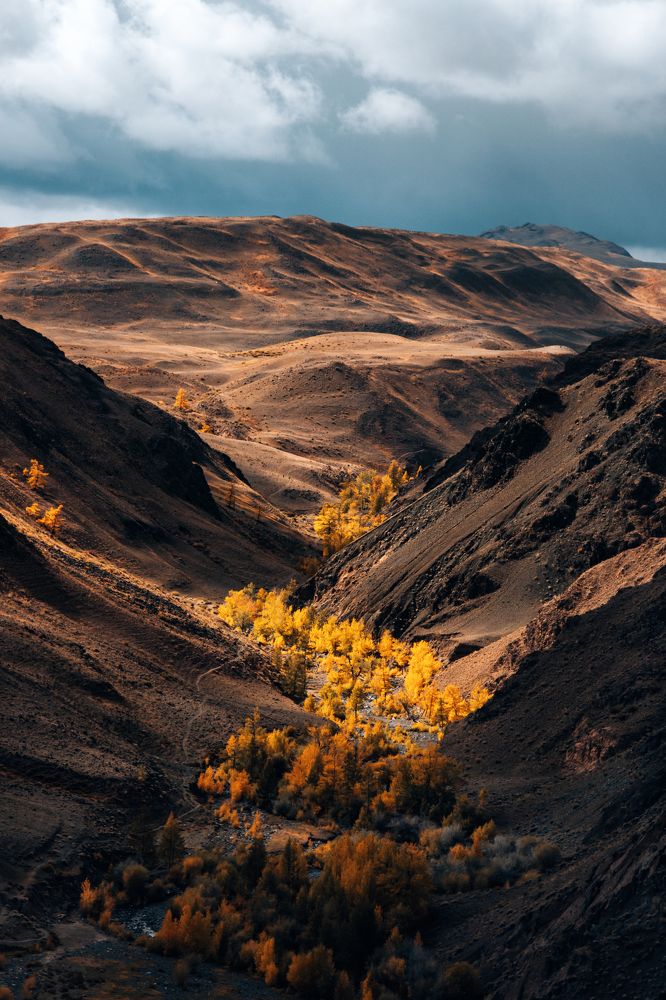 Photograph by Ярослав Чаадаев