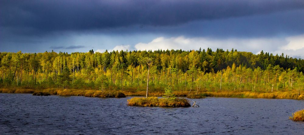 Photograph by Алексей Борисов
