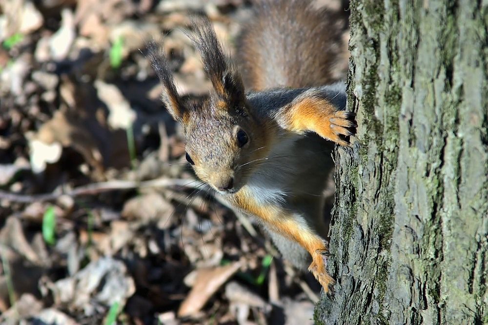 Photograph by Евгений Беленков