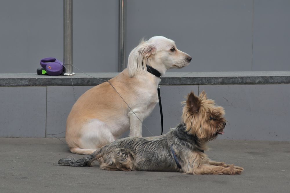 Photograph by Евгений Беленков