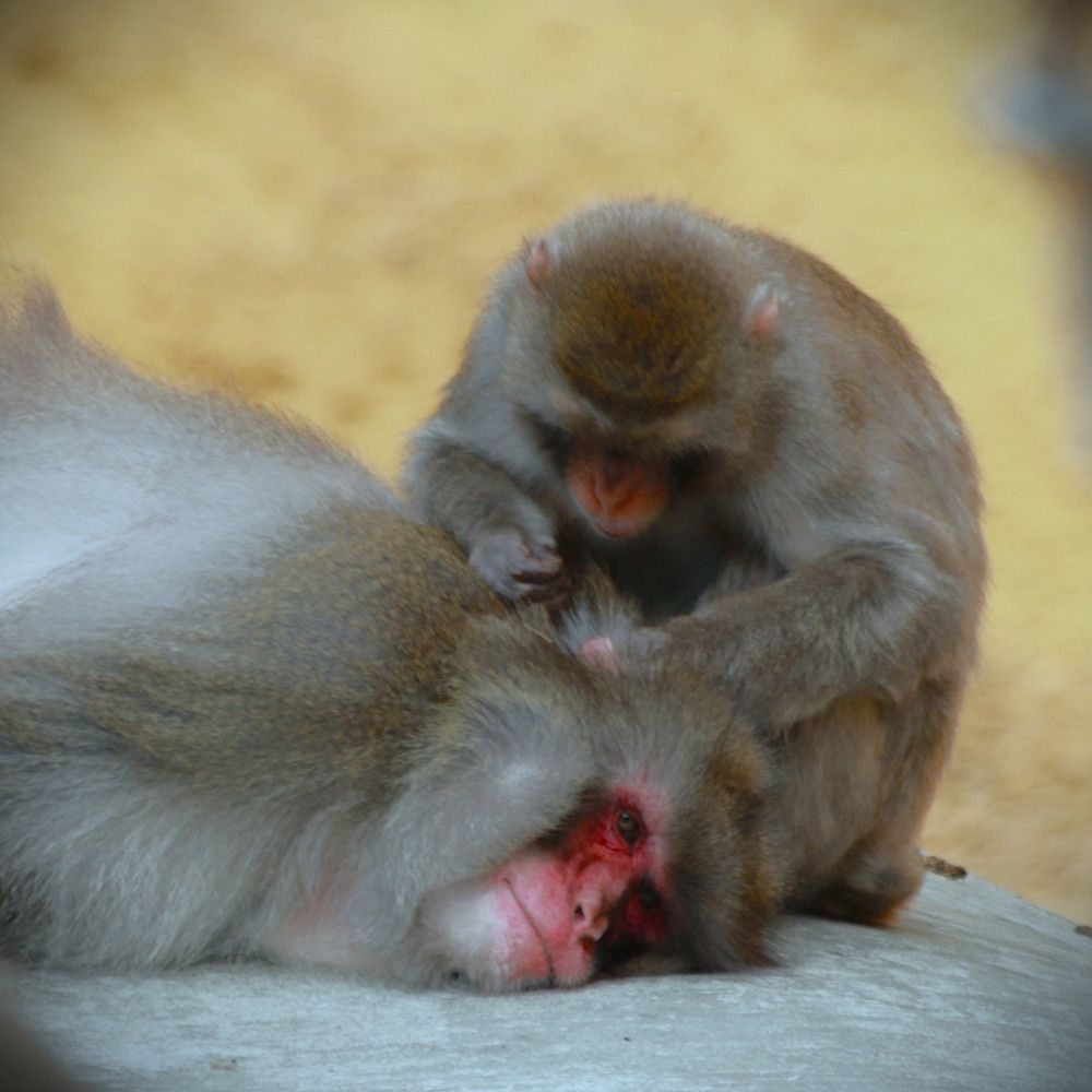 Photograph by Гагик Саркисян