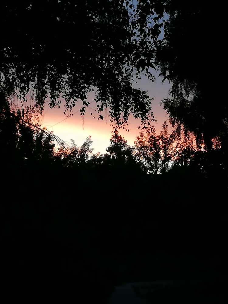 Photograph by Galina Novichkova