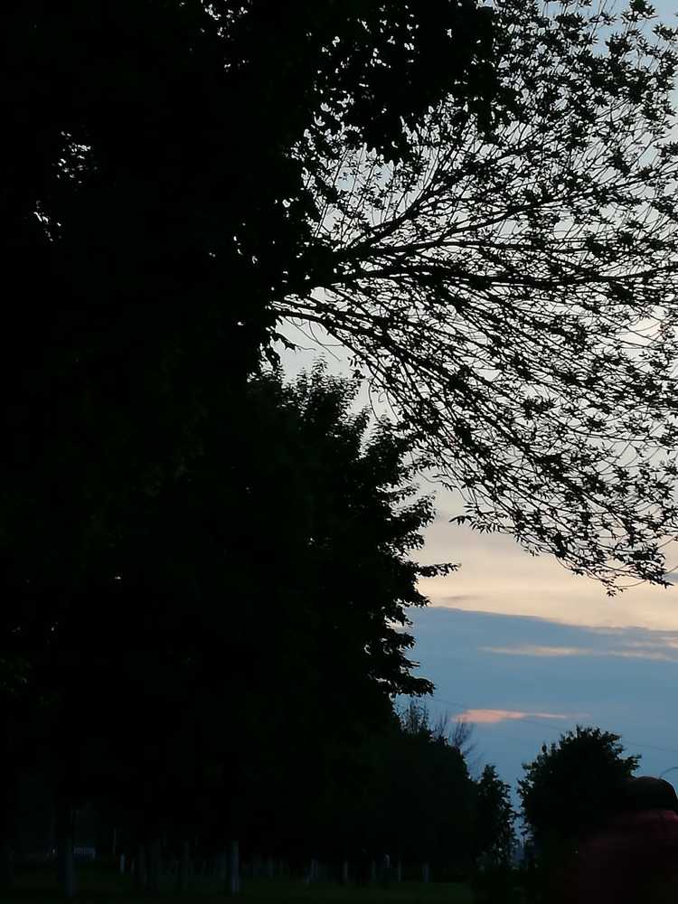 Photograph by Galina Novichkova