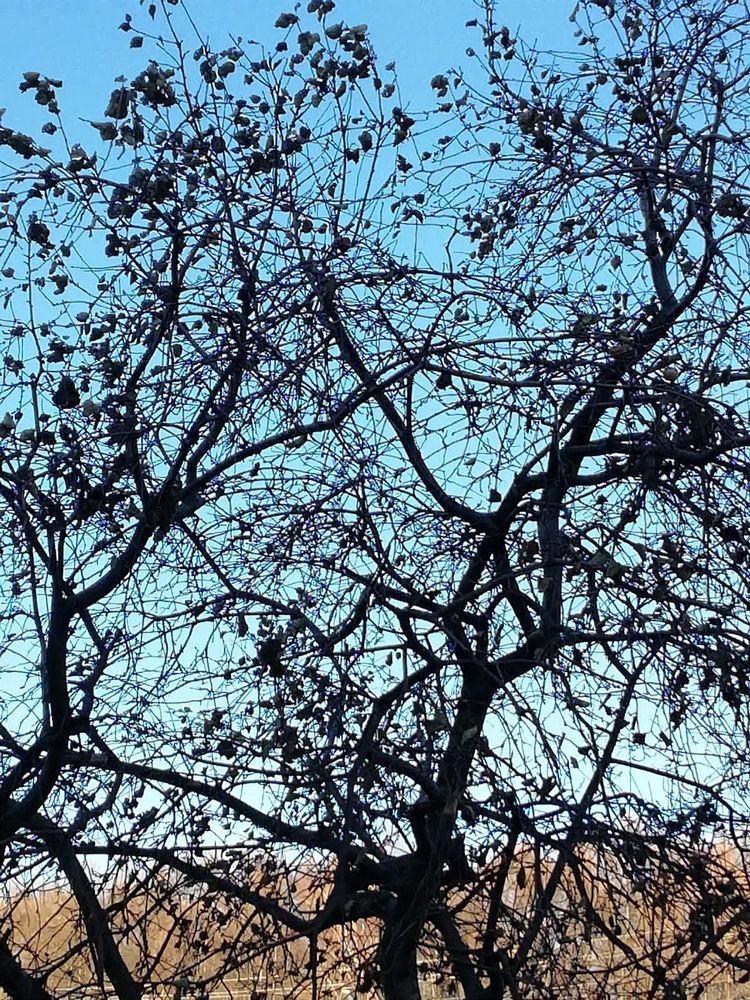 Photograph by Galina Novichkova