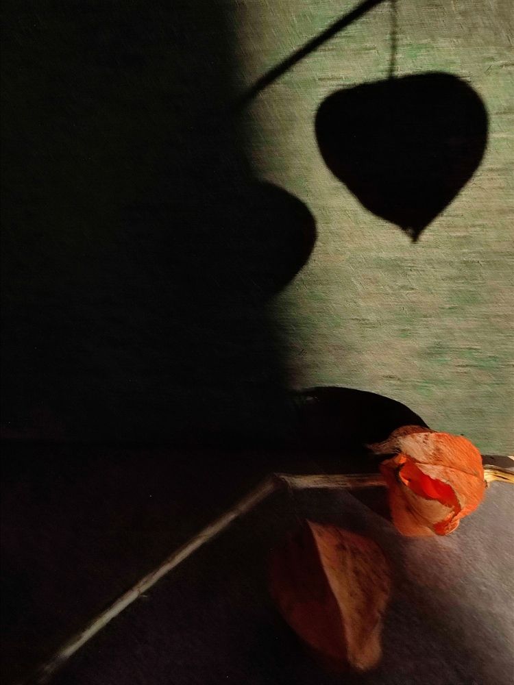 Photograph by Galina Novichkova