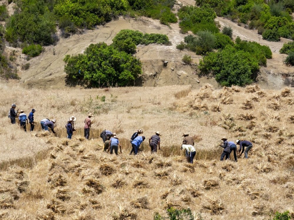 Photograph by Сергей Пупонин