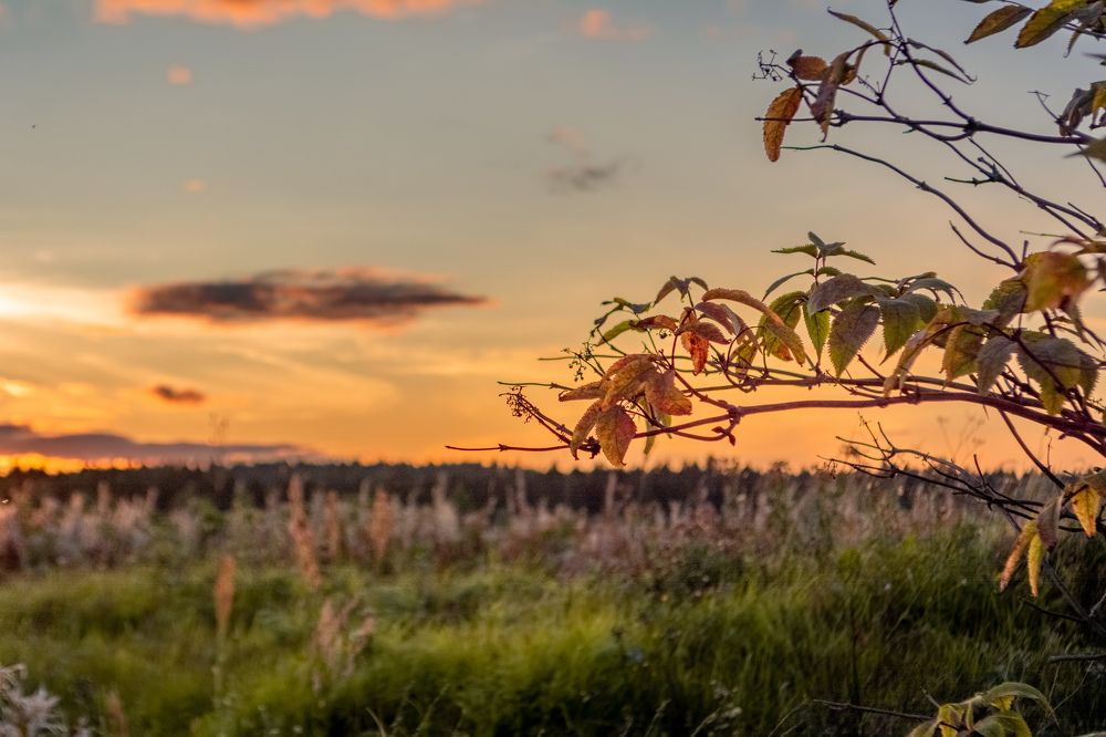 Photograph by Глеб Обуховский