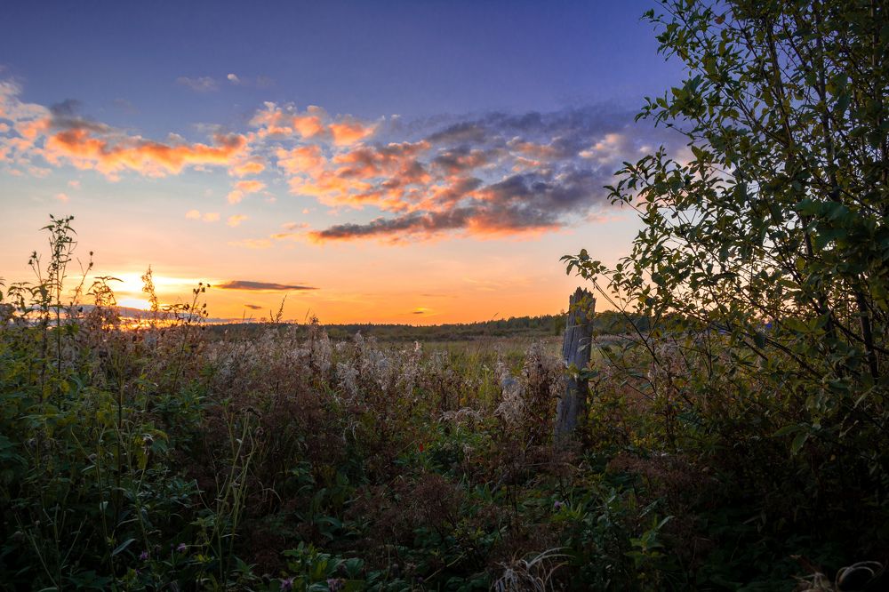 Photograph by Глеб Обуховский