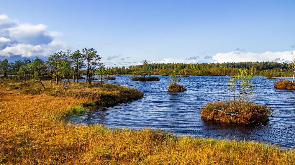 Фотография автора Алексей Борисов