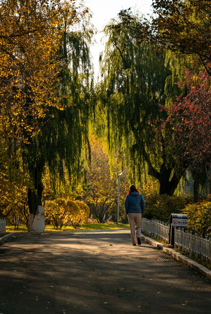 Photograph by ADRIANA DE CARVALHO