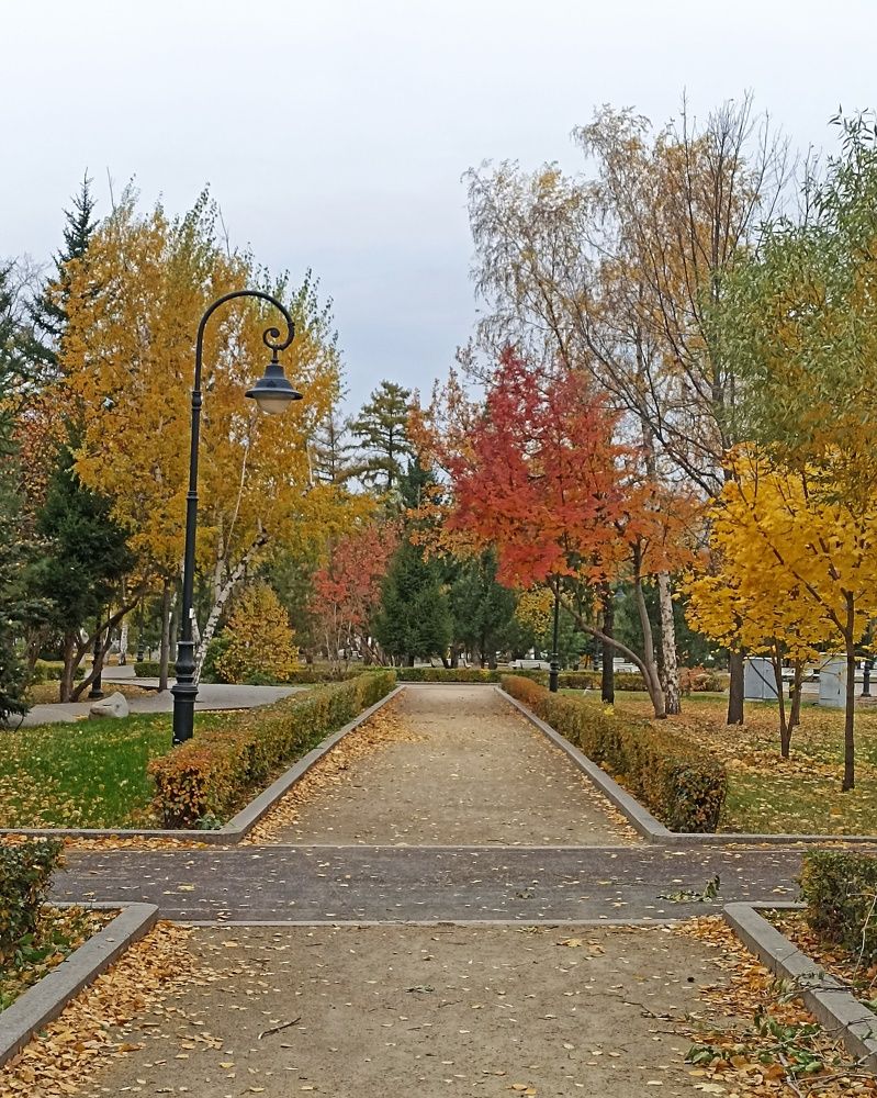 Краски осени