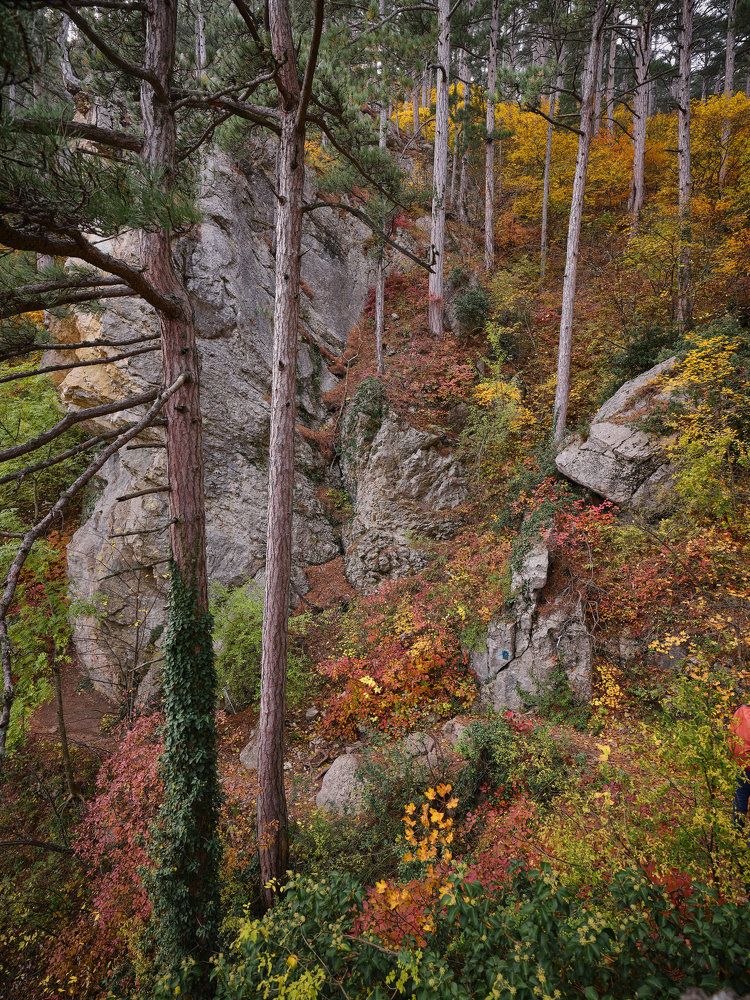 Photograph by ирина Ирина