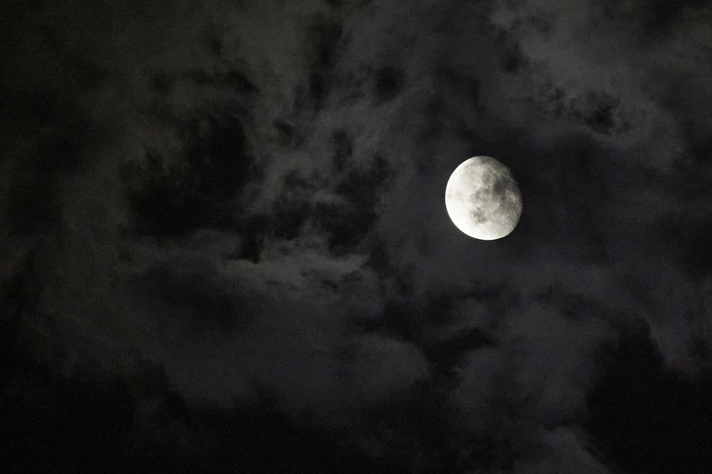 Photograph by ирина Ирина
