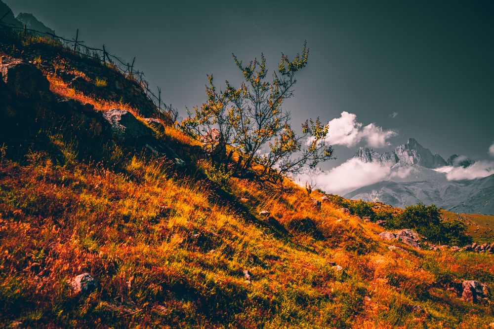 Фотография автора Дмитрий Referee
