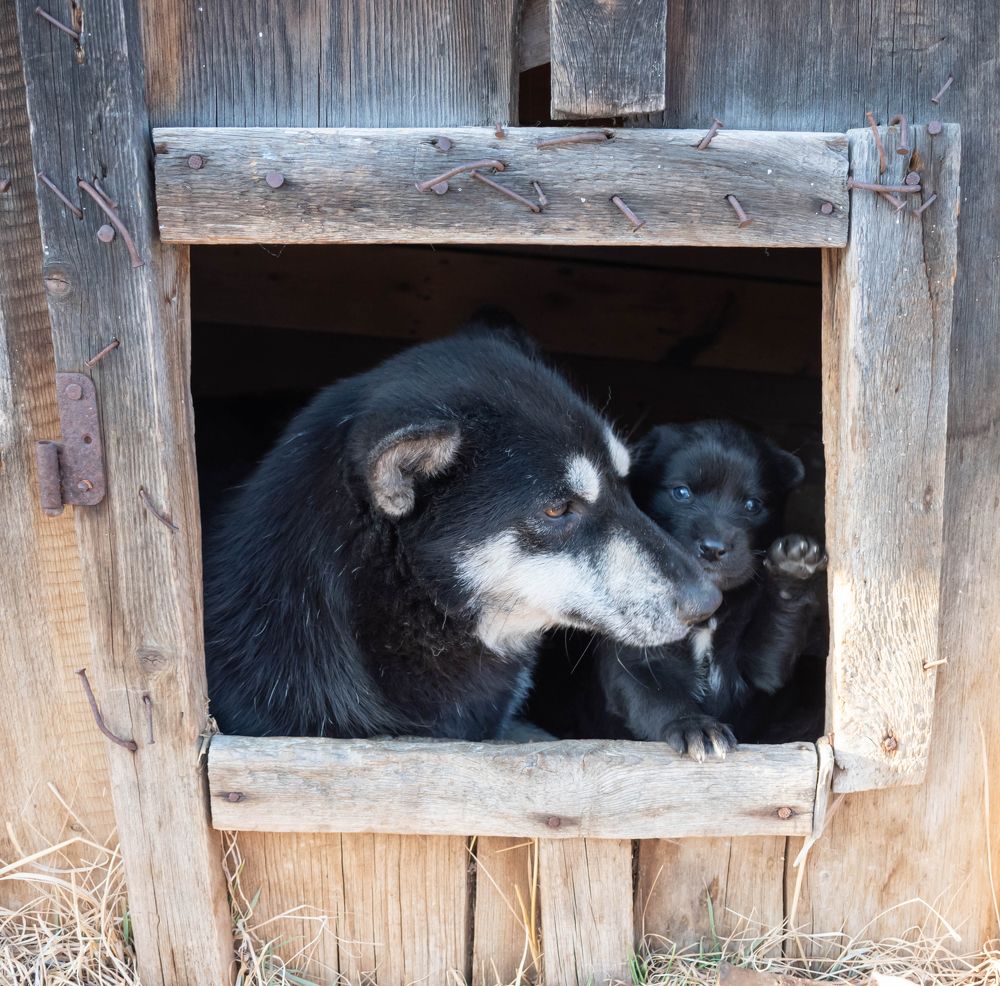 Фотография автора Яврова Татьяна