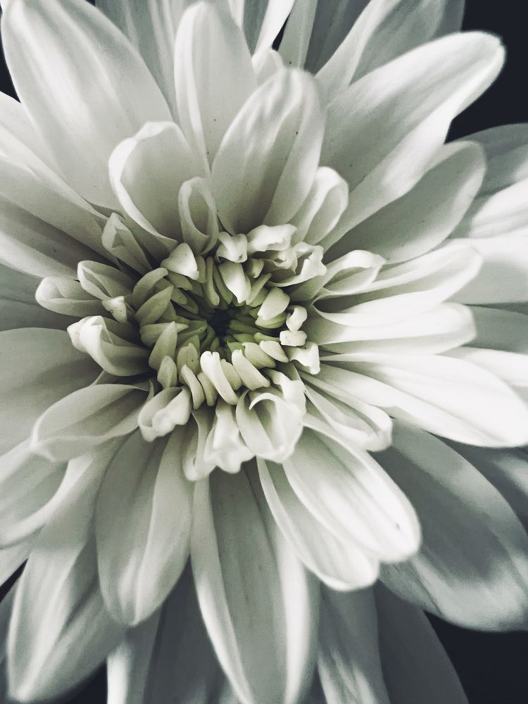 Photograph by Алена Жирова