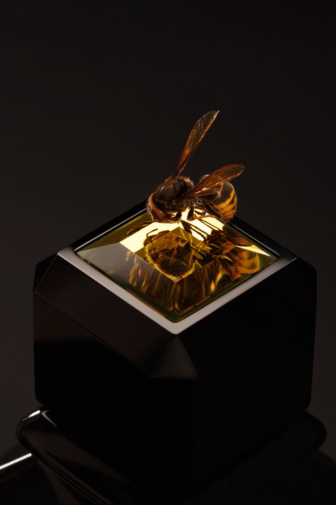 Фотография автора Мария Парамиди