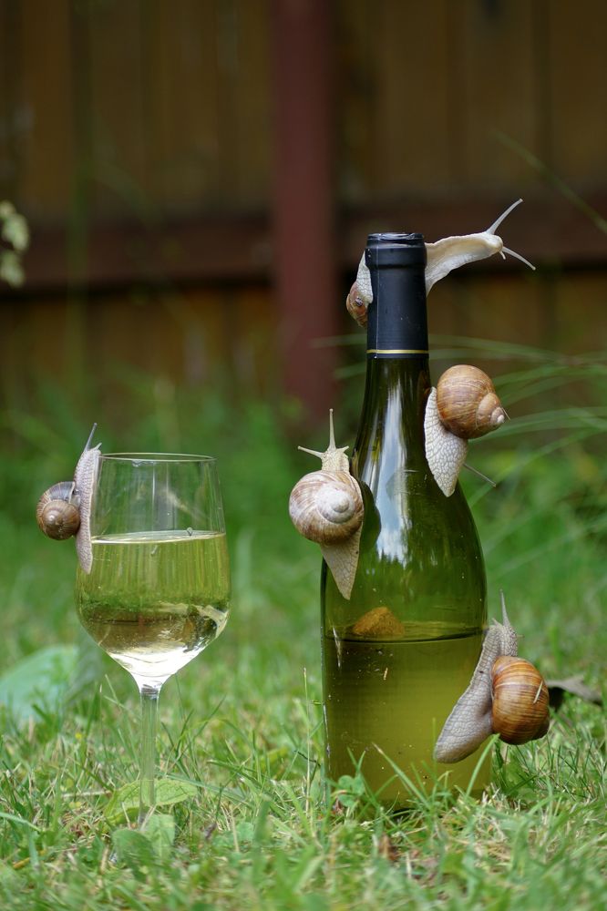 Развернись, душа)