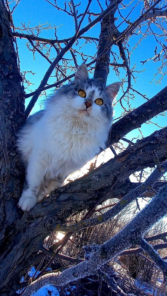 Photograph by Марина Козлова