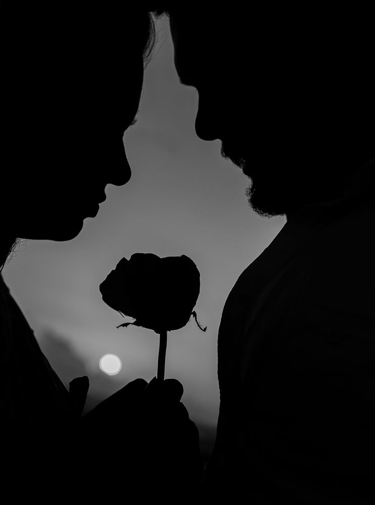 Фотография автора Laddu Sasindu Pramuditha De Silva