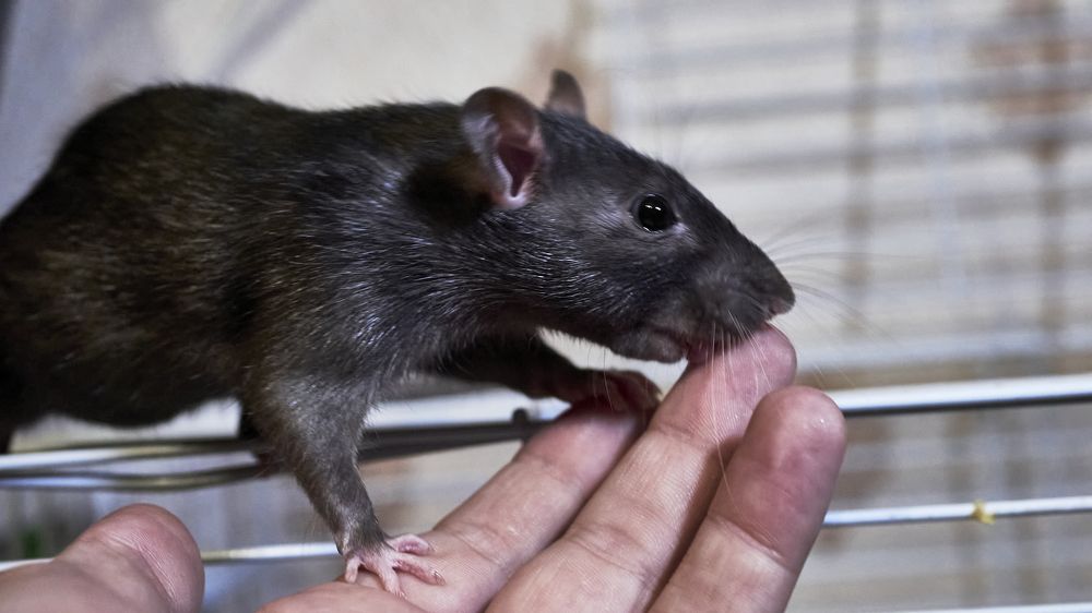 Photograph by Руслан Ибрагимов