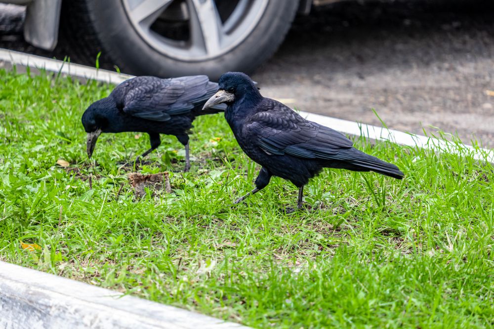 Photograph by Руслан Ибрагимов