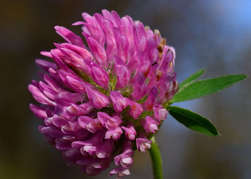 Фотография автора Оксана Льдинина