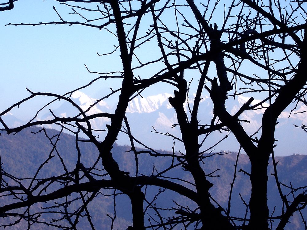 Photograph by Ritu Dinkar